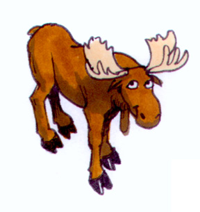 Newfoundland Moose