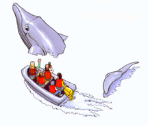 Orca Whale