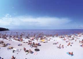 Ice Canoe Racing Photo