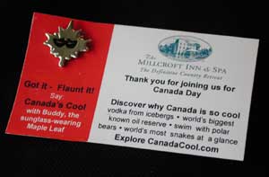 Canada Day Lapel Pin Sample