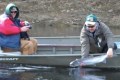 Miramichi River Fishing
