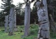 Gwaii Hannas