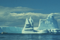 Iceberg