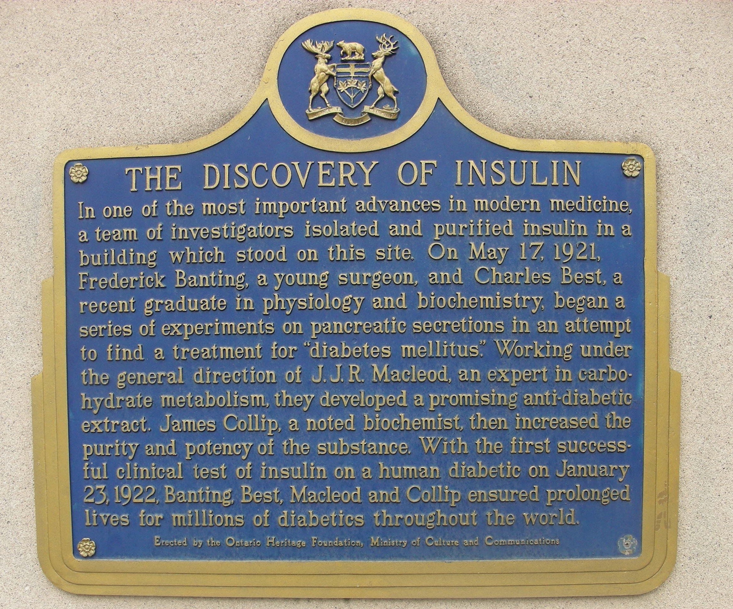 Insulin plaque University of Toronto © Lucy Izon