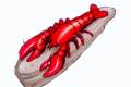 Lobster