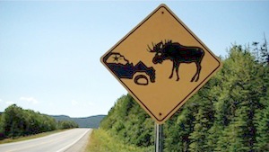 Moose Sign