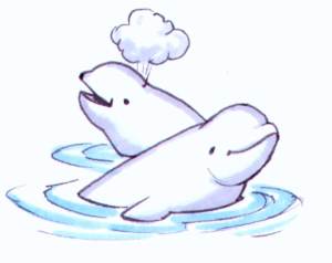 Saguenay Whales
