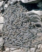 Courtesy Tourism Manitoba